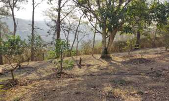 Imagem 7: Vendo Terreno no bairro Arcozelo em Paty do Alferes - RJ