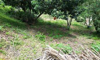 Imagem 2: Vendo terreno no bairro Maravilha em Paty do Alferes - RJ