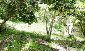 Imagem: Vendo terreno no bairro Maravilha em Paty