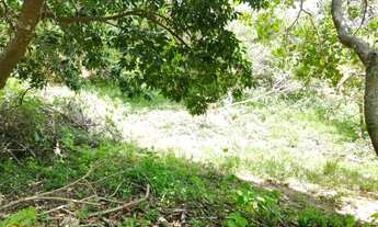 Imagem 5: Vendo terreno no bairro Maravilha em Paty do Alferes - RJ