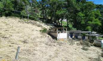 Imagem: Vendo terreno no bairro Palmares em Paty