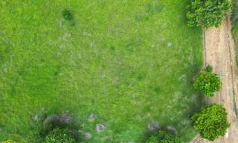 Imagem 4: Vendo Terreno no bairro Campo Verde em Paty do Alferes - RJ