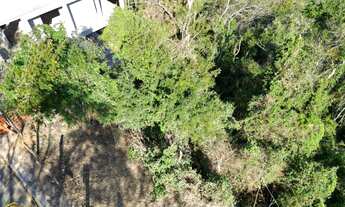 Imagem 4: Vendo Lotes no bairro Encanto de Paty em Paty do Alferes - RJ