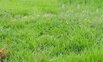 Imagem: TERRENO RESIDENCIAL em SOROCABA - SP, Condomínio