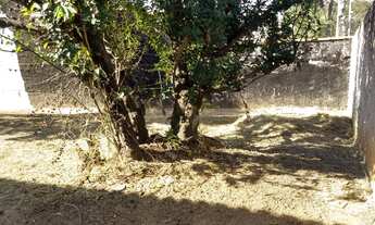 Imagem 6: Terreno para Construtores Vila Haro Jardim Piratininga com 18 metros de frente, plano, à 3