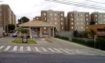 Imagem: Apartamento 2 dorms, armários planejados