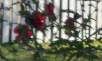 Imagem 4: CHACARA RURAL em Itapeva - SP, Área Rural da Cidade de Nova Campina