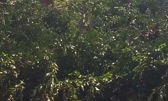 Imagem 6: TERRENO COMERCIAL em SOROCABA - SP, VILA NOVA SOROCABA