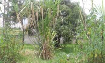 Imagem 4: ÁREA em Sorocaba - SP, JD GONÇALVES