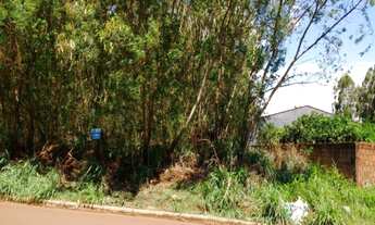 Imagem 2: TERRENO RESIDENCIAL em DOURADOS - MS, CHÁCARA TREVO