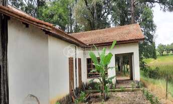 Imagem 3: FAZENDA 220 ALQUEIRES A VENDA EM SOROCABA - SAO PAULO