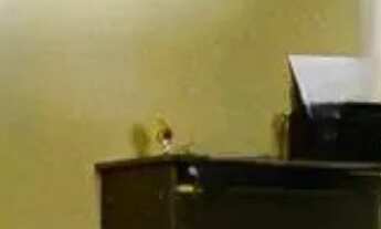 Imagem 7: CASA RESIDENCIAL em SÃO PAULO - SP, JABAQUARA