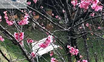 Imagem 5: CASA RESIDENCIAL em COTIA - SP, GRANJA VIANA II