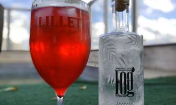 Imagem 2: APARTAMENTO RESIDENCIAL em SÃO PAULO - SP, VILA DOM PEDRO I