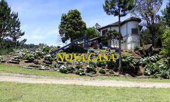 Imagem 7: FAZENDA TERRA MÃE - GUAPIARA-SP