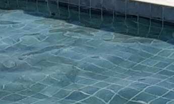 Imagem 2: Apartamento em Iriri com 05 suítes, de 290m ²