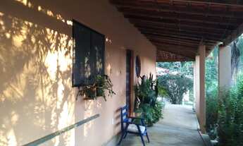 Imagem 5: Sítio com muita água próximo ao asfalto