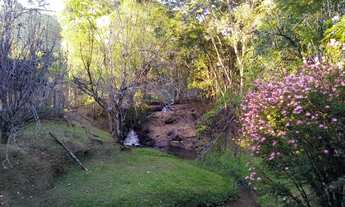 Imagem: Sítio com muita água próximo ao asfalto