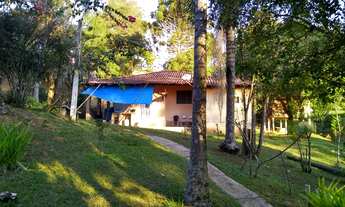 Imagem 4: Sítio com muita água próximo ao asfalto