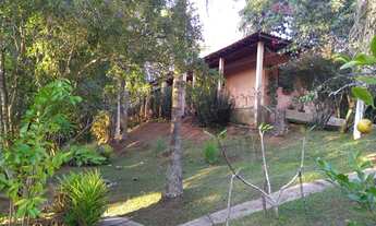 Imagem 6: Sítio com muita água próximo ao asfalto