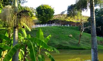 Imagem 2: Sítio com muita água próximo ao asfalto