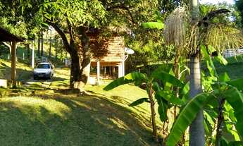 Imagem 3: Sítio com muita água próximo ao asfalto