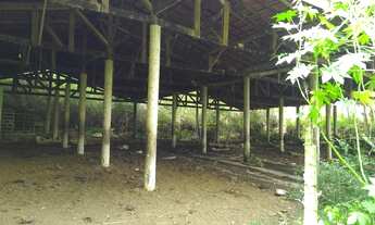 Imagem 6: Muita água com estrutura em área reservada