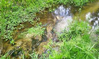 Imagem 4: Muita água com estrutura em área reservada