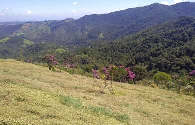 Imagem 3: Linda Vista mata nativa e nascente a 1650m de altura
