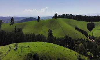 Imagem 6: Estrutura para Leite e corte com sede luxuosa