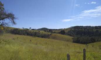 Imagem 5: Corte ou Leite, clima temperado e nascentes