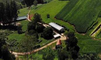 Imagem 2: Estrutura para Leite e corte com sede luxuosa