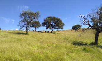 Imagem 2: Corte ou Leite, clima temperado e nascentes