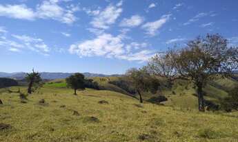 Imagem 7: Corte ou Leite, clima temperado e nascentes