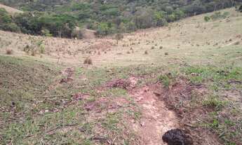 Imagem 6: Vista e Mata com Nascente a 500m do Asfalto