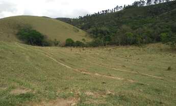 Imagem 7: Vista e Mata com Nascente a 500m do Asfalto