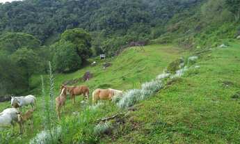 Imagem 3: Vista, Mata nativa, Nascente a 1550m do nível do mar