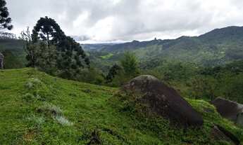 Imagem 2: Vista, Mata nativa, Nascente a 1550m do nível do mar