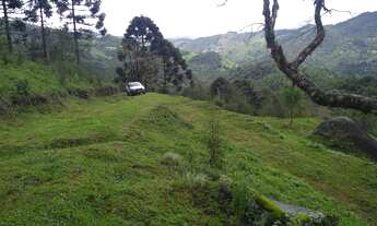 Imagem: Vista, Mata nativa, Nascente a 1550m do
