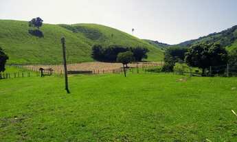 Imagem 6: Fazenda estruturada para gado de corte com sede 4 Quartos e 154 Alqueires na Estrada Vicin