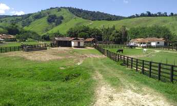 Imagem 4: Fazenda estruturada para gado de corte com sede 4 Quartos e 154 Alqueires na Estrada Vicin