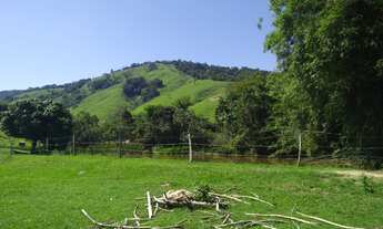 Imagem 7: Fazenda estruturada para gado de corte com sede 4 Quartos e 154 Alqueires na Estrada Vicin