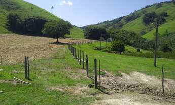 Imagem 5: Fazenda estruturada para gado de corte com sede 4 Quartos e 154 Alqueires na Estrada Vicin