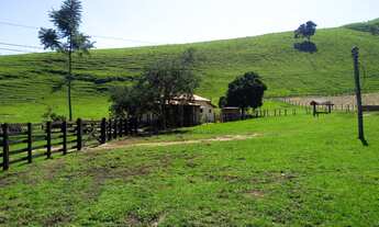 Imagem 3: Fazenda estruturada para gado de corte com sede 4 Quartos e 154 Alqueires na Estrada Vicin