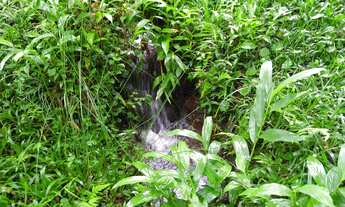 Imagem 4: Venda de Sítio bem localizado na Barra, Cunha-SP, com 3,00 alqueires de área