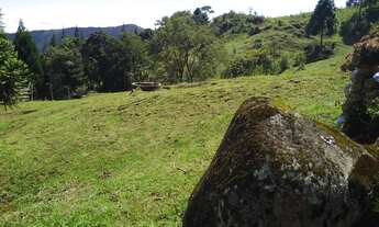 Imagem 3: Clima Frio, Margem do Asfalto, Excelente para Comércio