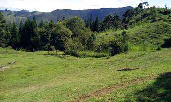 Imagem: Clima Frio, Margem do Asfalto, Excelente