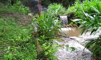Imagem: Venda de Sítio bem localizado na Barra