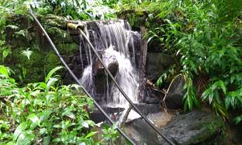 Imagem 3: Venda de Sítio bem localizado na Barra, Cunha-SP, com 3,00 alqueires de área