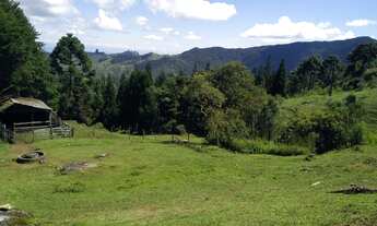 Imagem 4: Clima Frio, Margem do Asfalto, Excelente para Comércio